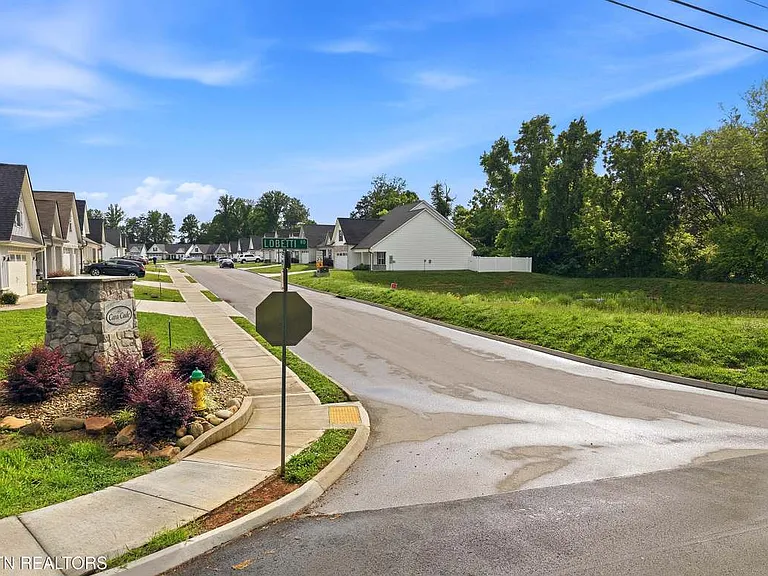 6513 Cara Cade Ln — Photo 45