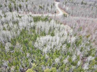 19005 Dog Patch Rd, Lanse, MI 49946