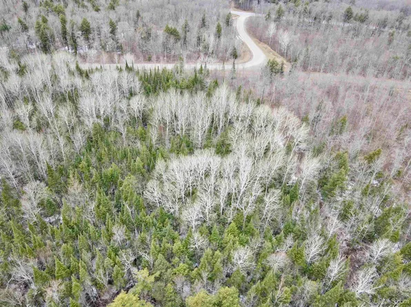 19005 Dog Patch Rd, Lanse, MI 49946