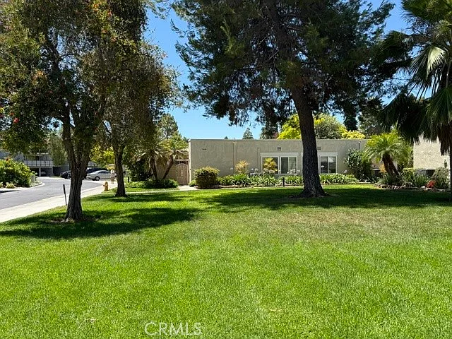 2 bed, 1100 sqft, $3,500 — Photo 3