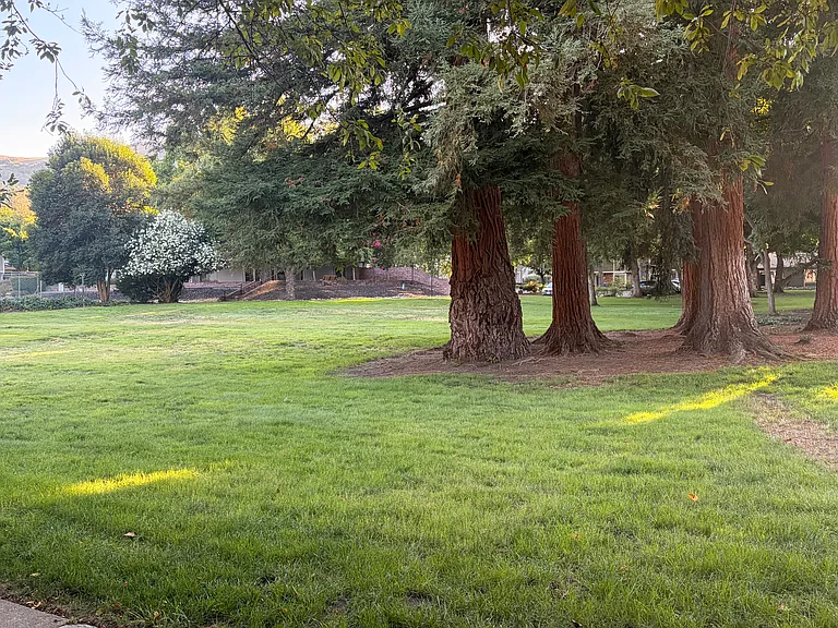 Sycamore Cir — Photo 3
