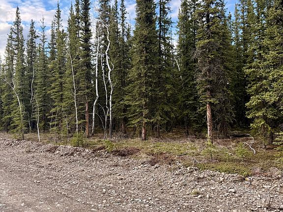 2nd image of L14b9 Pringle Rd