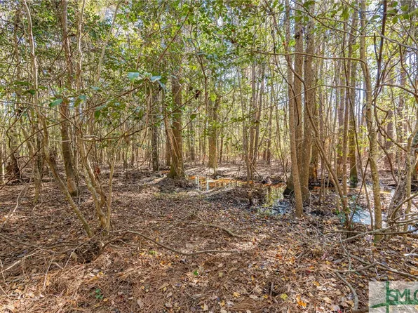 0 Ralph Rahn Road, Rincon, GA 31326