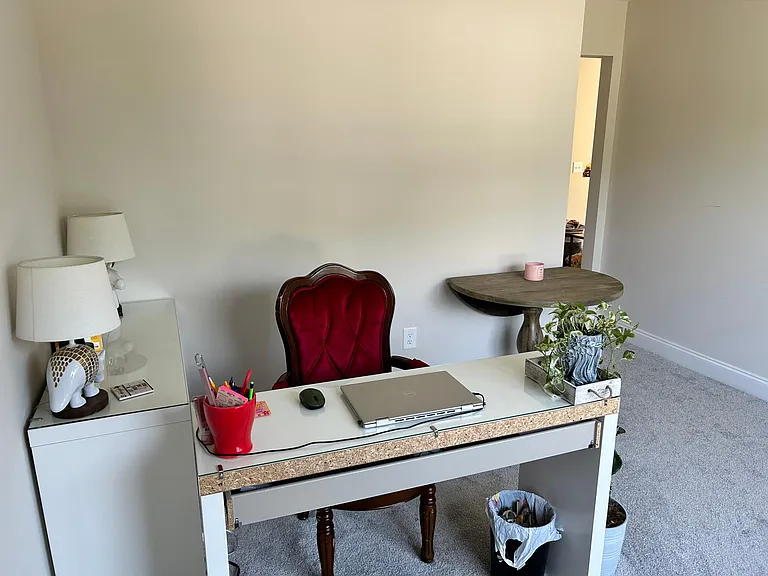 Office/flex room