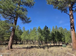 2522 Pinon Cir, Happy Jack, AZ 86024