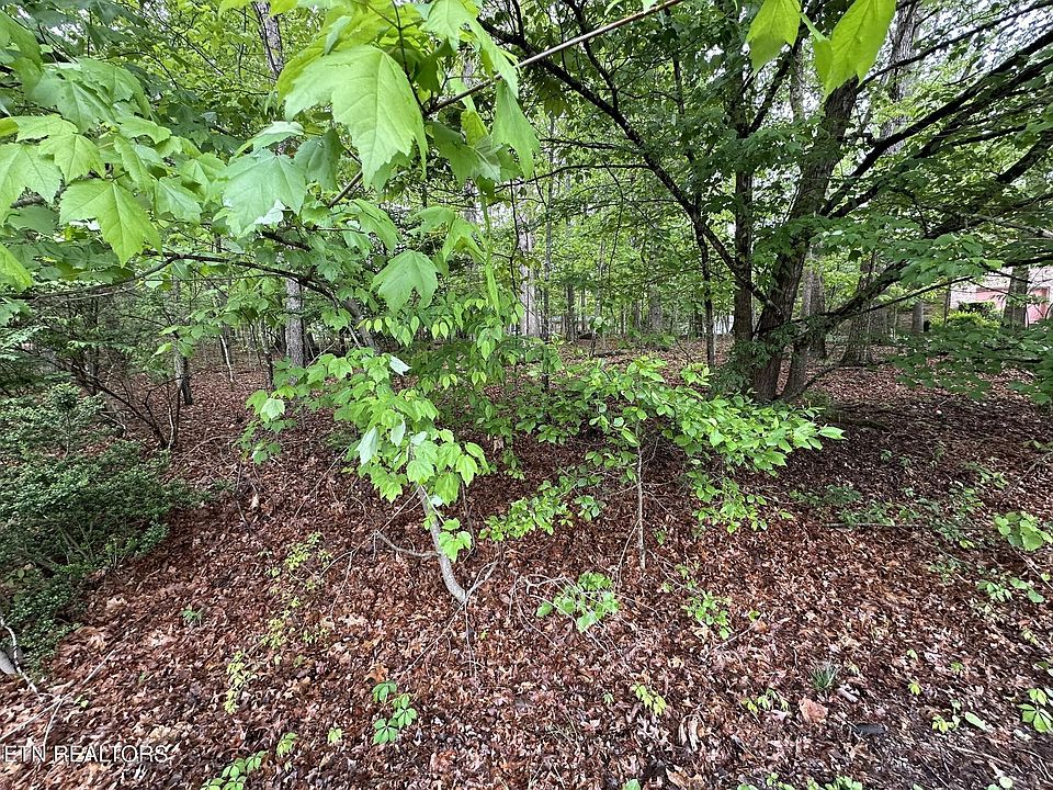2nd image of 114 Shore Ln Lot 293