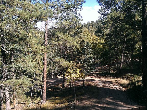 view of driveway from house