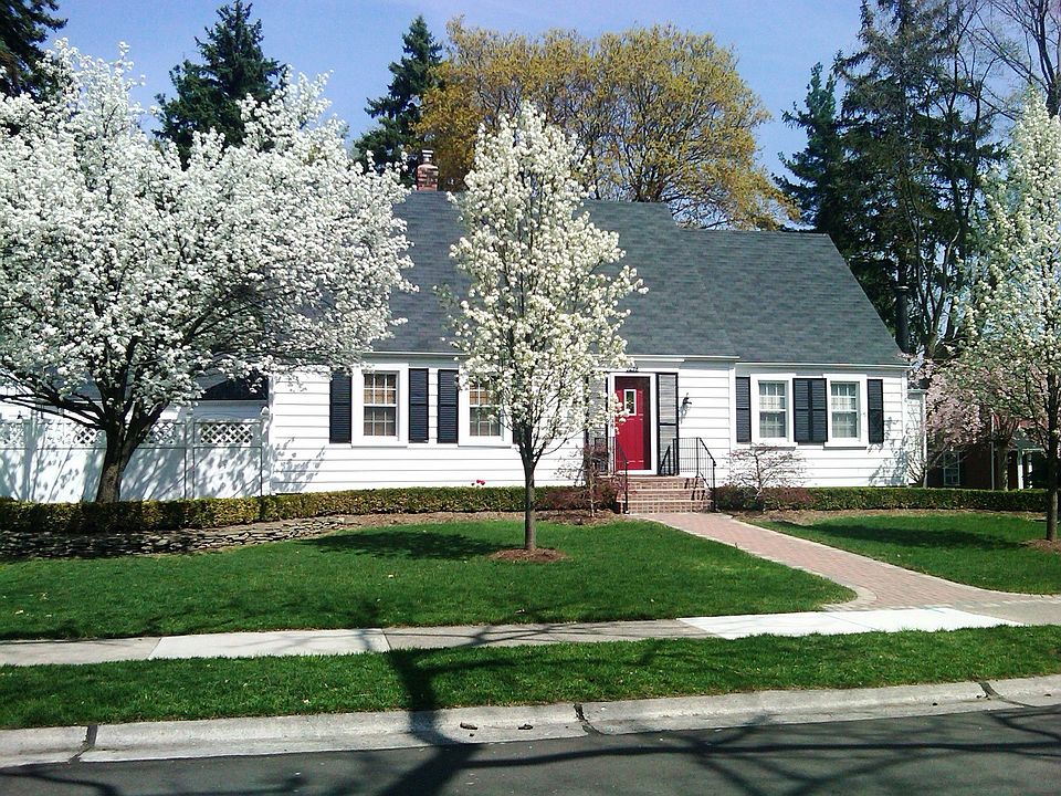 1294 Maple in bloom
