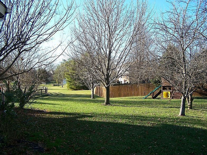 Park Like Backyard