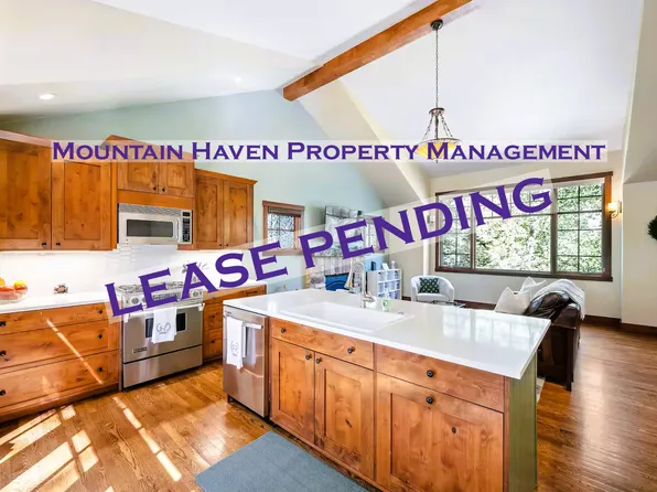 738 Skyline Dr, Idaho Springs, CO 80452