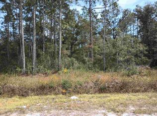 10440 Flikkema Ave, Hastings, FL 32145
