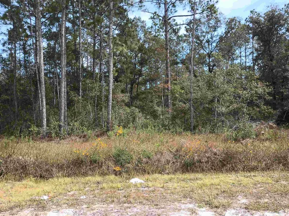 10440 Flikkema Ave, Hastings, FL 32145