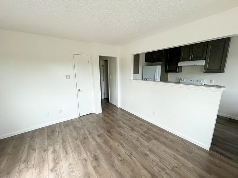 1655 Tuolumne St #4 — Photo 5