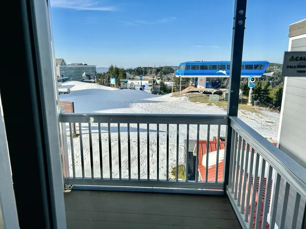 328 Mountain Lodge Ln, Snowshoe, WV 26209