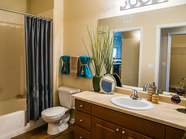 Full Bathroom