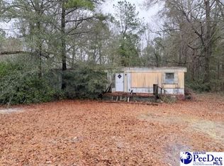 11094 Old Pee Dee Rd, Hemingway, SC 29554