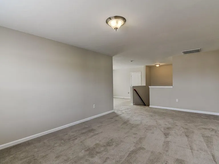 689 Carolina Farms Blvd — Photo 25