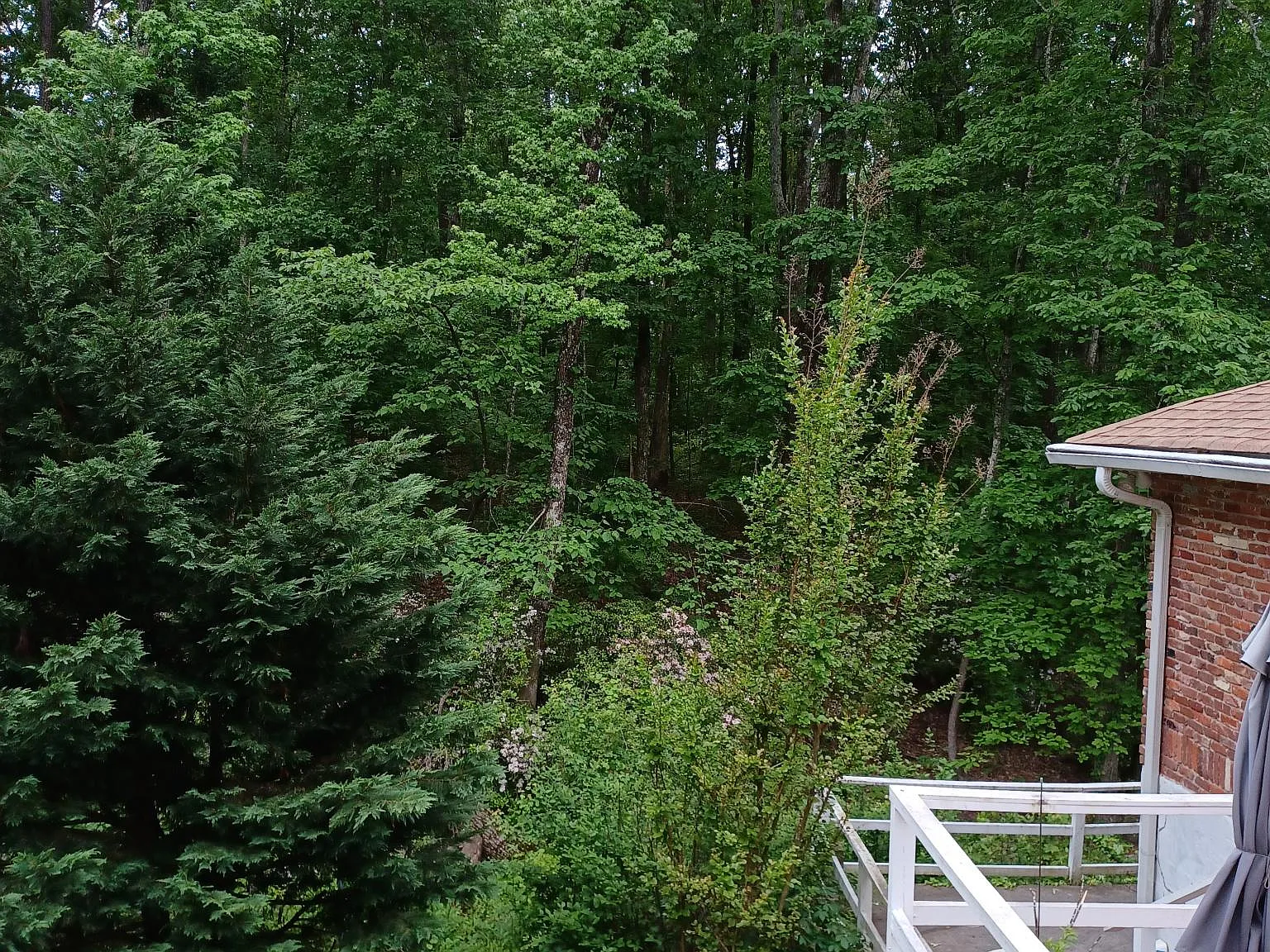 3146 Camp Branch Rd — Photo 4