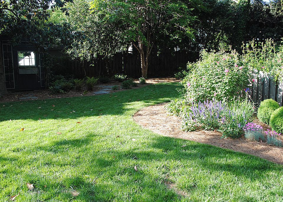 Backyard - 2