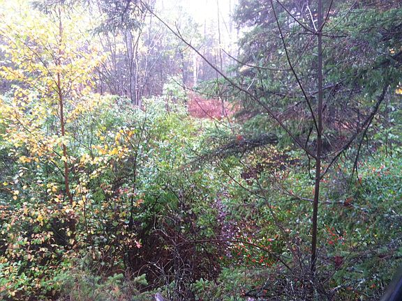 2nd image of 40 Acres - Beebe Camp Road
