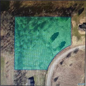LOT County Road 487, Moulton, AL, 35650