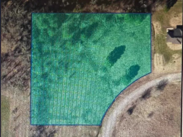 LOT County Road 487, Moulton, AL 35650