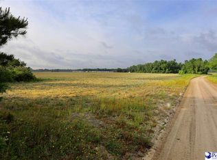 Old Lamar Hwy, Darlington, SC 29532