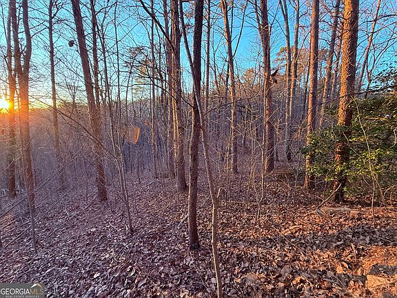 4th image of 1344 Hunter Dr