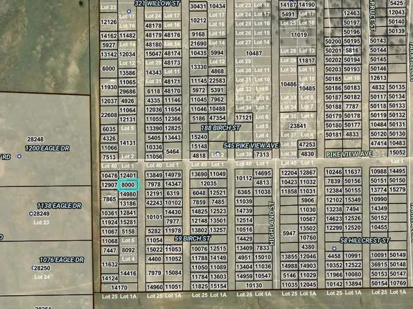 00003 Willow Street, Hartsel, CO 80449