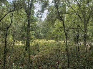 Rosehill Dr, Webster, FL 33597