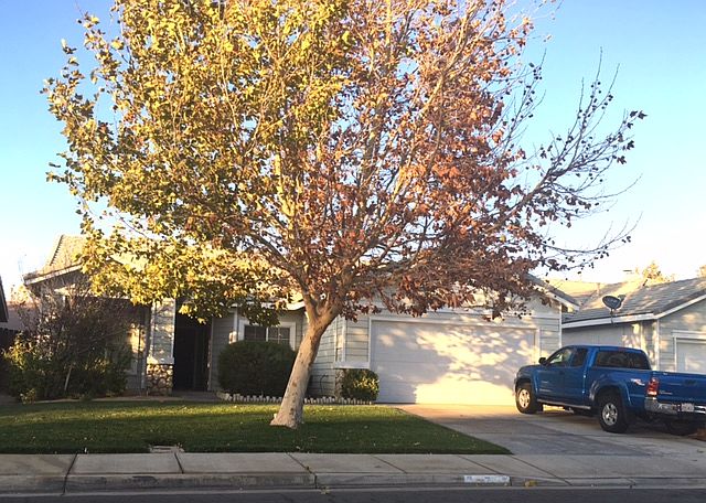 1st image of 1747 W Avenue H5