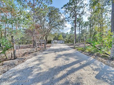 384 E Katie St, Hernando, FL, 34442