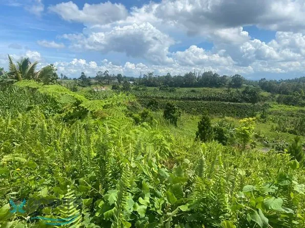 D Carr 152 Barrio Quebradillas, Barranquitas, PR 00794