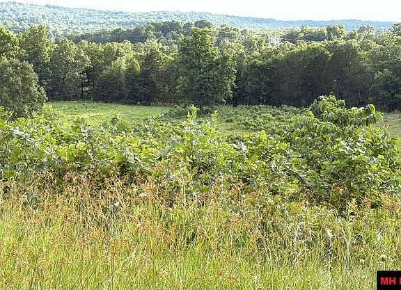 4th image of TRACT 2 Highway 201 N
