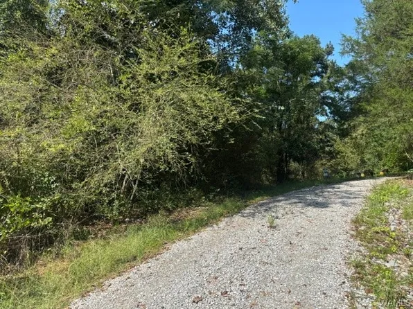 15319 Highway 140, Coker, AL 35452