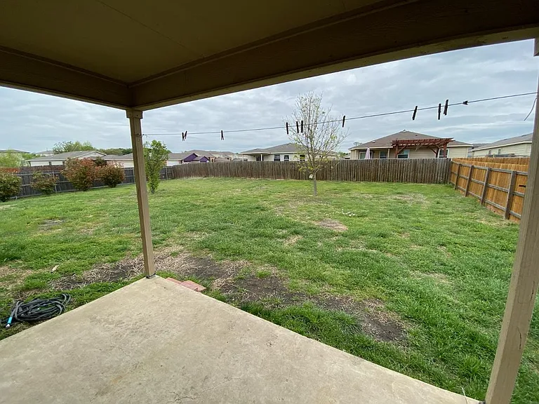 Back yard and back patio