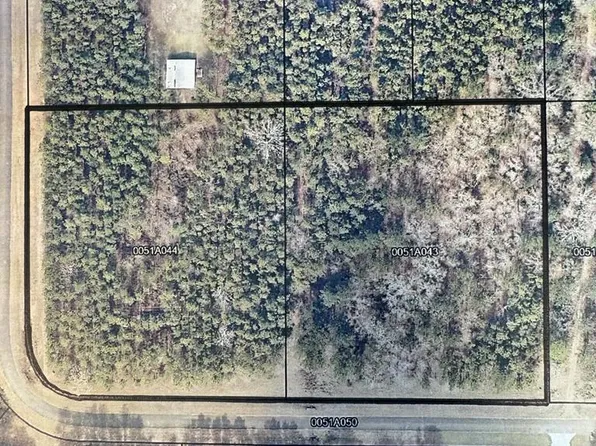 322 Woodridge Ln, Cairo, GA 39827