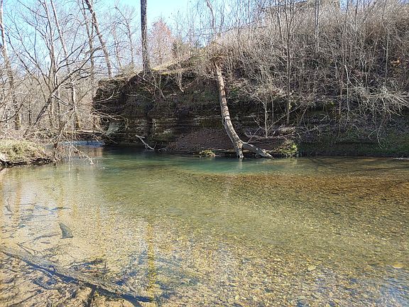 4th image of 176 Wills Ln