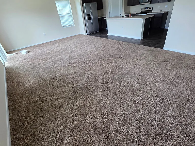 11272 Sheepshead Ln — Photo 3