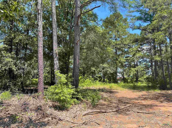 Tbd Fm 1970, Carthage, TX 75633