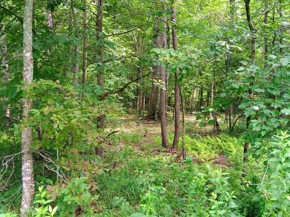 76 Pine Rd #19, Pikeville, TN 37367