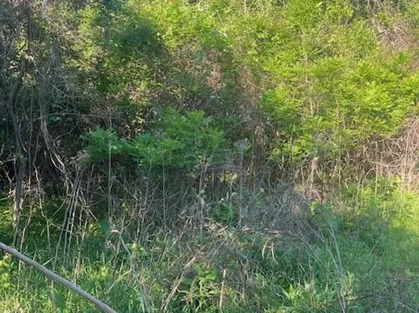167 Kahana Ln, Bastrop, TX 78602