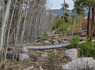 Tbd Vasquez Rd, Winter Park, CO 80482