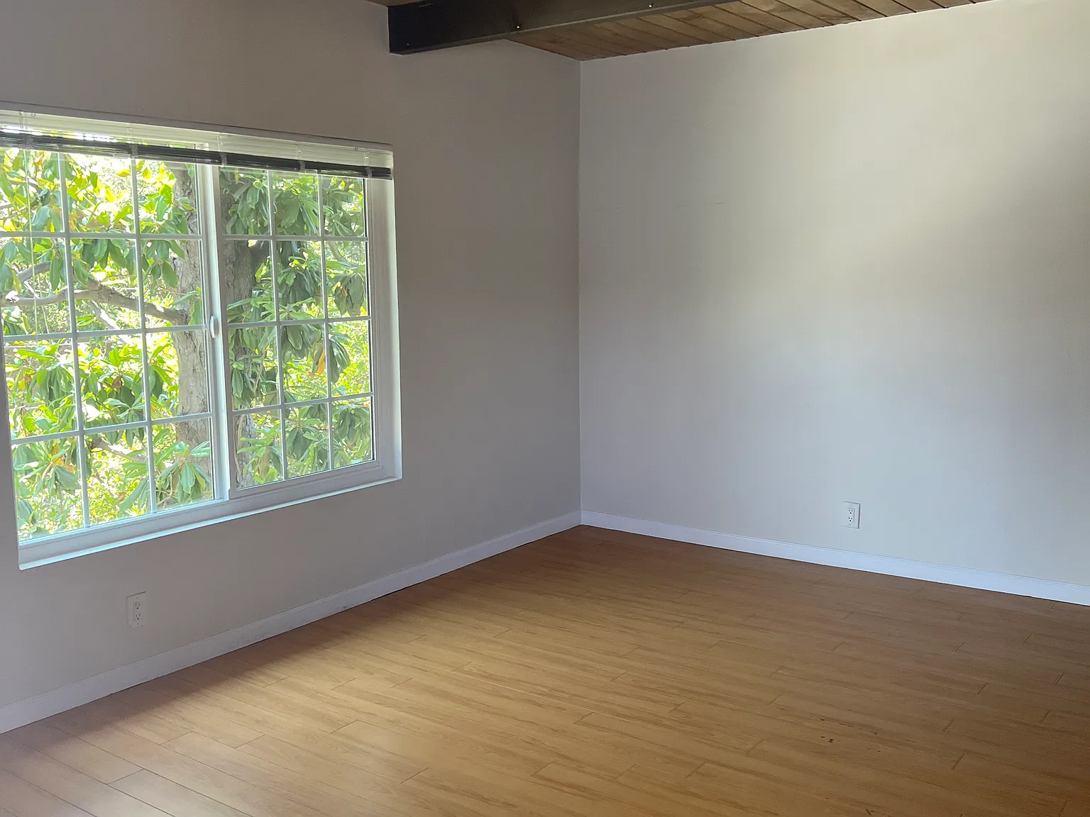 1 bed, 625 sqft, $1,945 — Photo 2