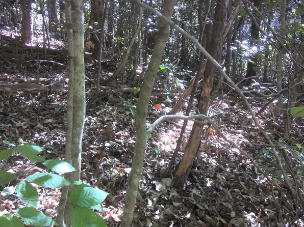 18 Mountaineer Rd, Whittier, NC 28789