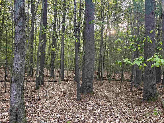 4th image of Lot 80 Currier Road