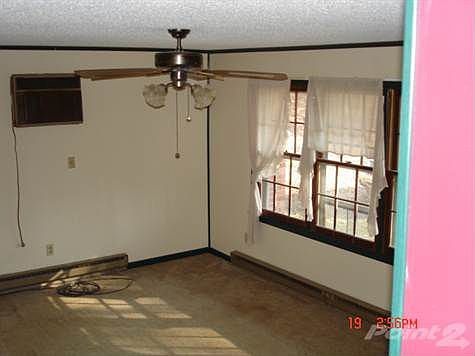 20 Tall Tree Murphy 004