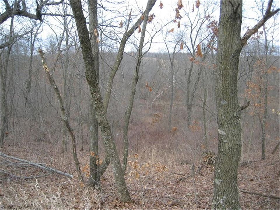 Land View 2