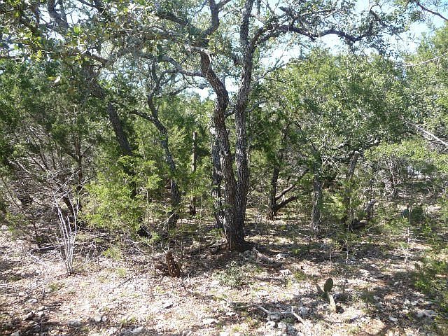1st image of 31025 Longhorn Trl