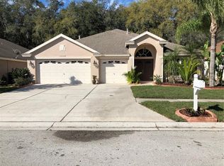 10544 San Travaso Dr, Tampa, FL 33647